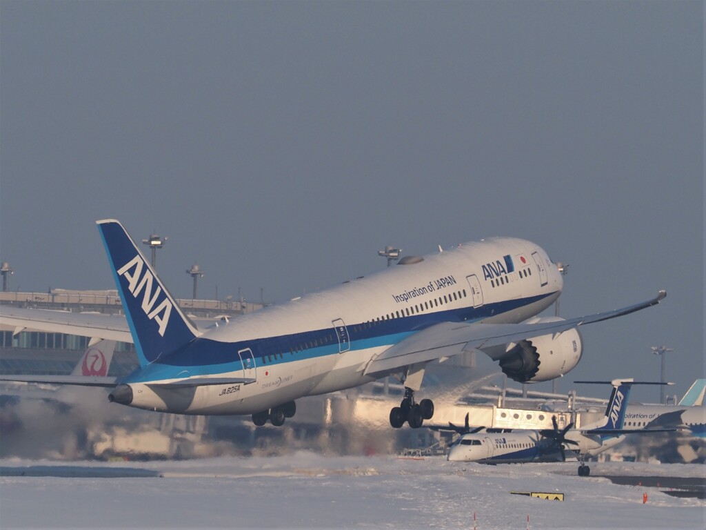 B-787