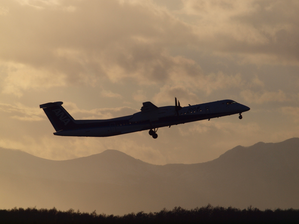 DHC8