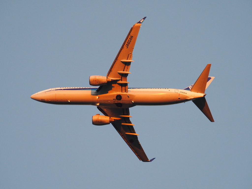 夕焼けB737-800