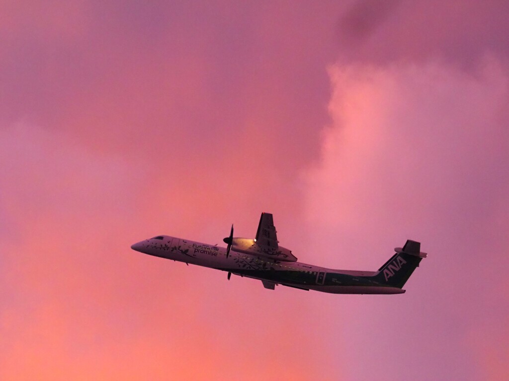 ANA DHC8-Q400