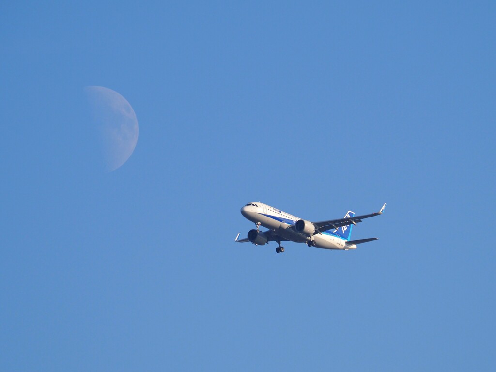 月と飛行機-2