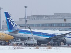 出発前のディアイシング