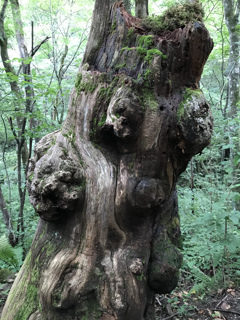 あ、右上の部屋なら空いてますよ