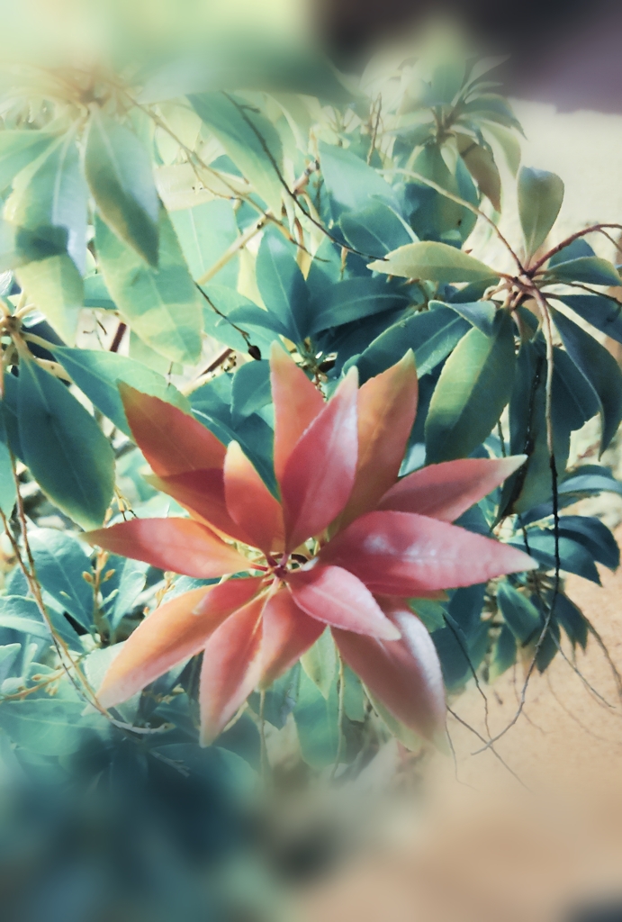 PicsArt_09-07-08.59.25