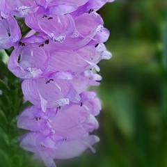 IMG_20210906_170653