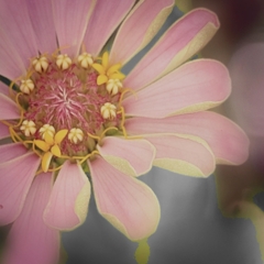 PicsArt_09-07-06.41.49