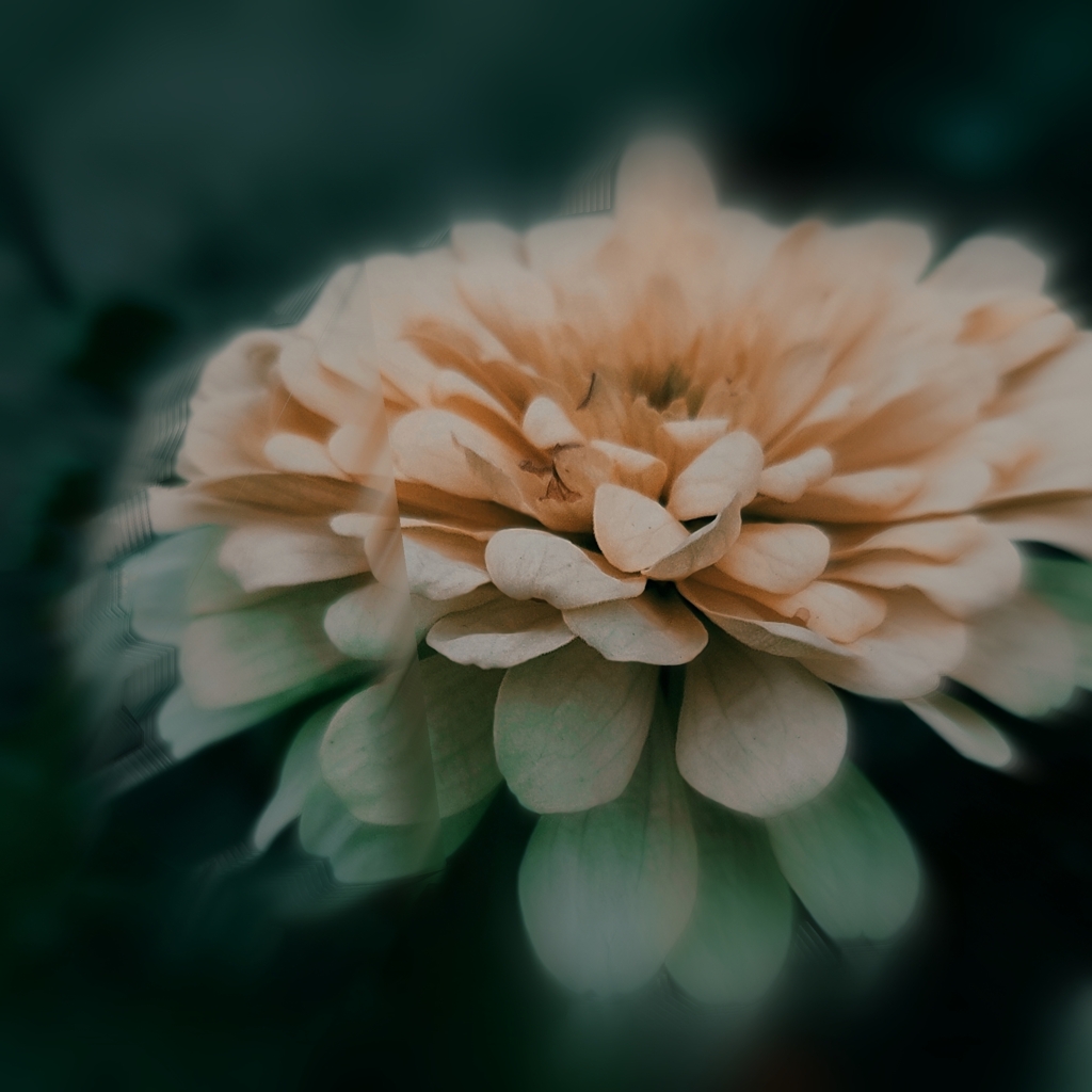 PicsArt_09-04-07.21.06