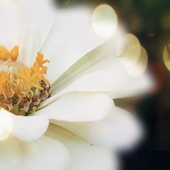 PicsArt_08-28-10.40.08