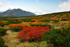 白山・室堂平の紅葉'21秋