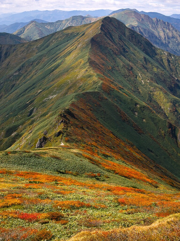 谷川岳稜線付近の紅葉