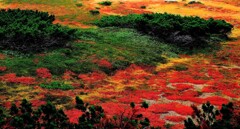 山は晩秋