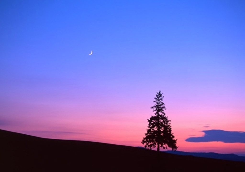 夕暮れ時