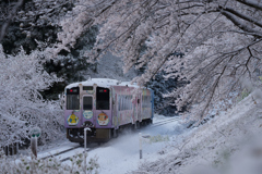 桜と雪と始発列車