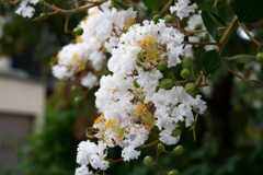 調べてみましたが