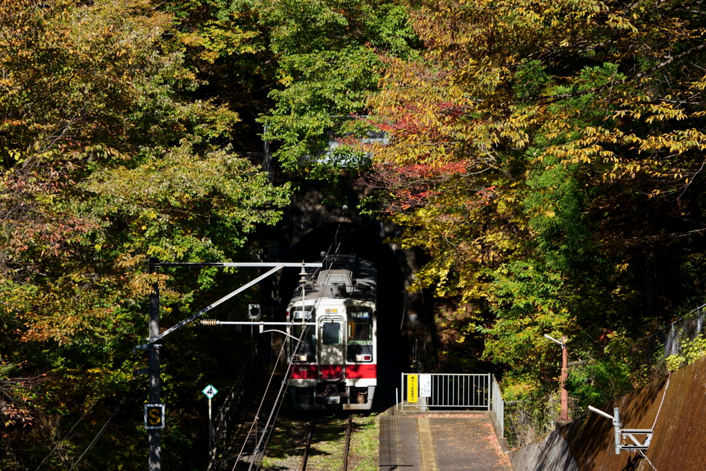 野岩鉄道 龍王峡駅