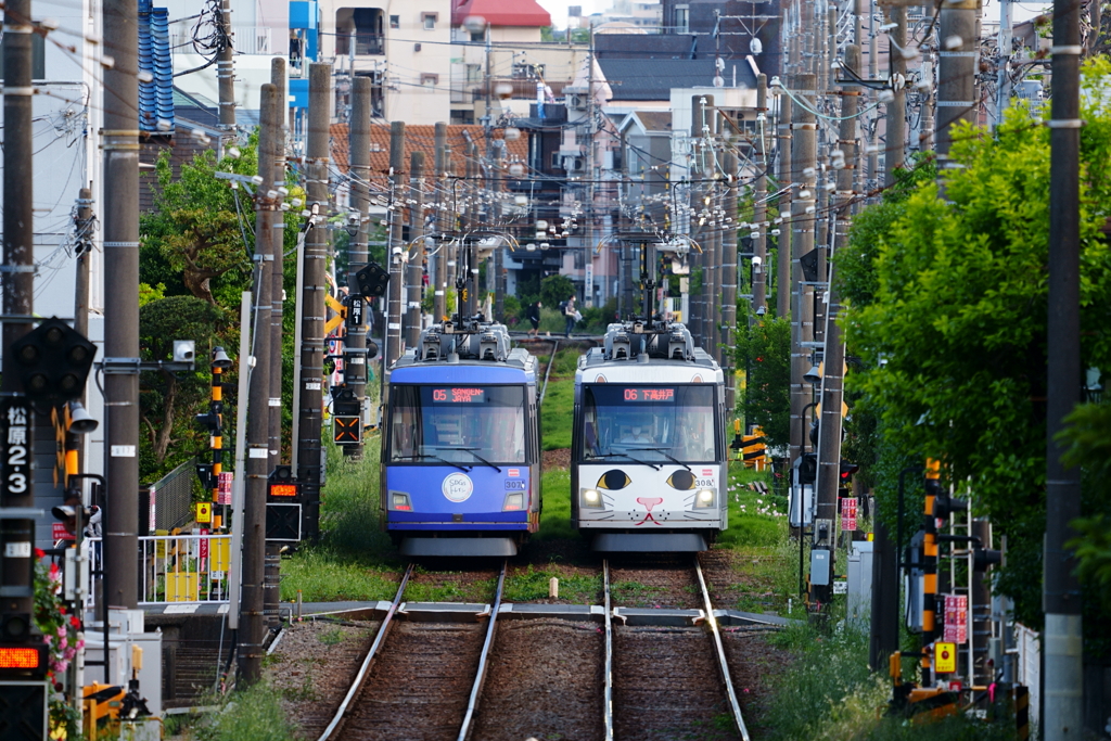 東急世田谷線 招き猫電車&SDGｓトレイン
