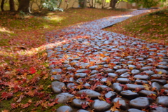 秋の石道