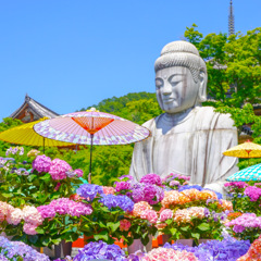 あじさい大仏