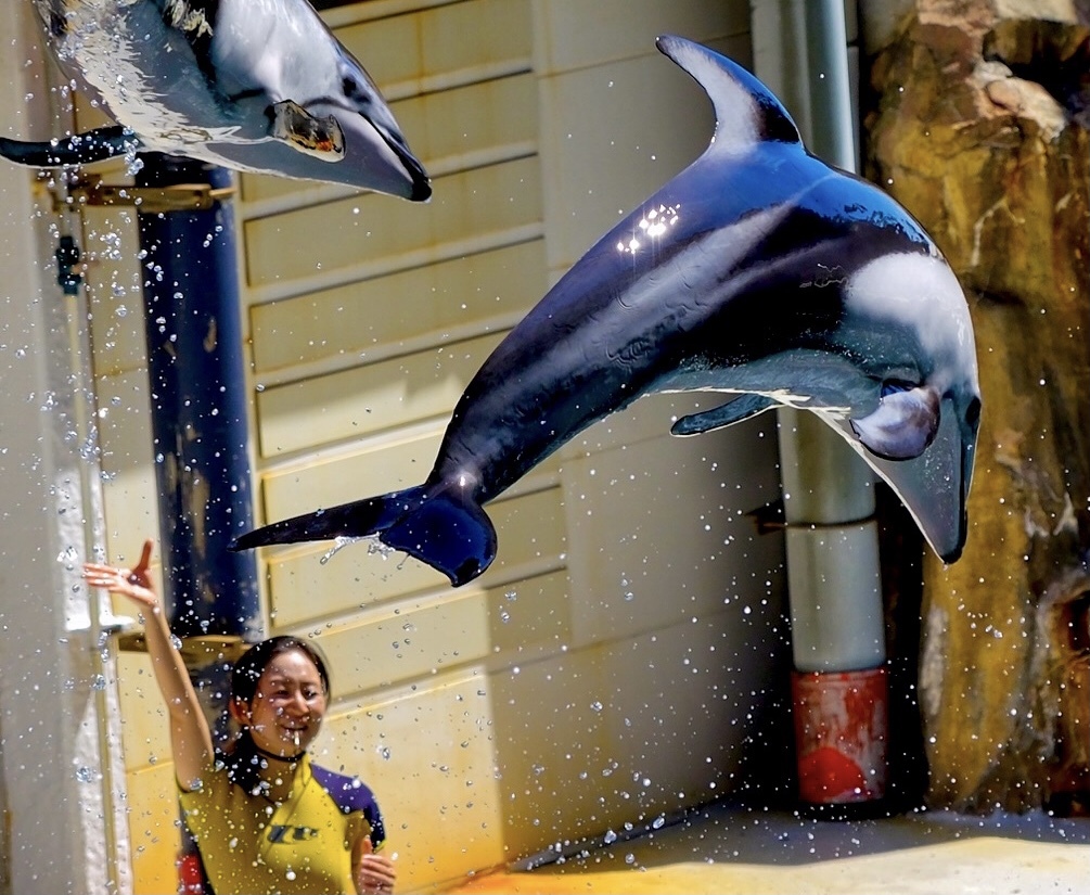 ジャンプ！