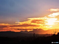箱根の山が見える丘PB290524 (4)