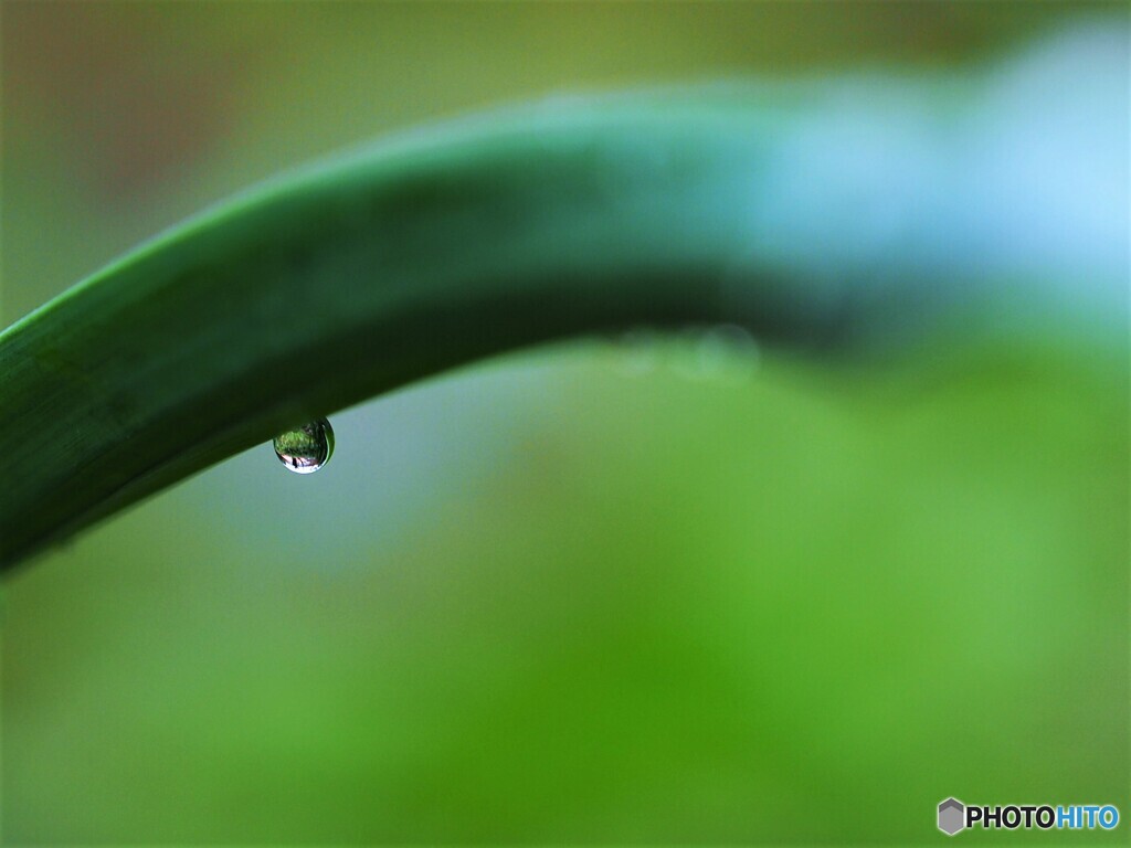雨上がり