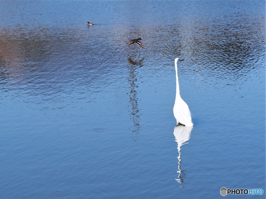 静かな池で　３