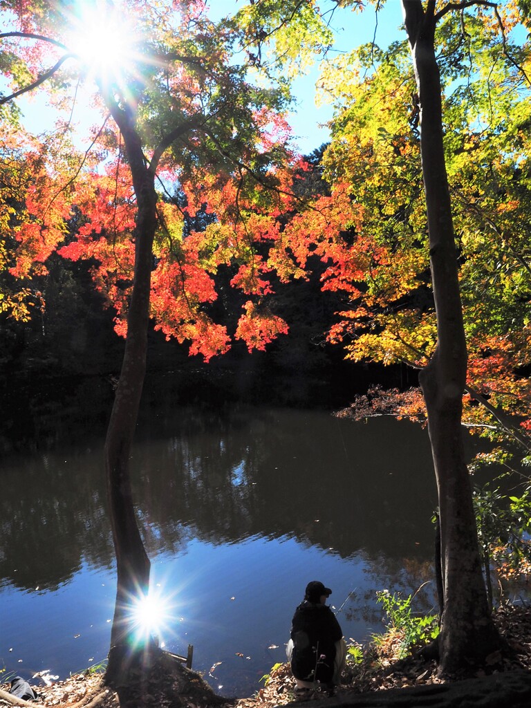 紅葉の池