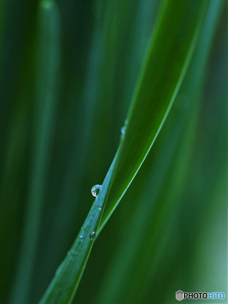 雨上がり２　