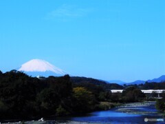 富士山PA304638 (3)
