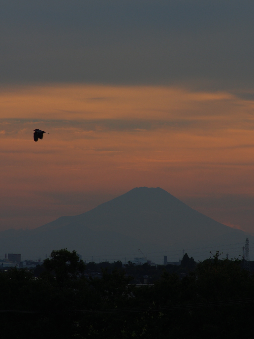 富士山