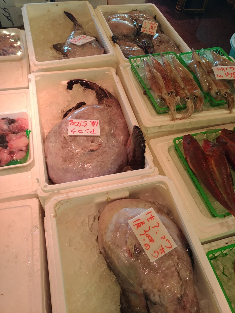 大洗市場３