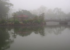 朝霧の風景