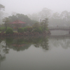 朝霧の風景