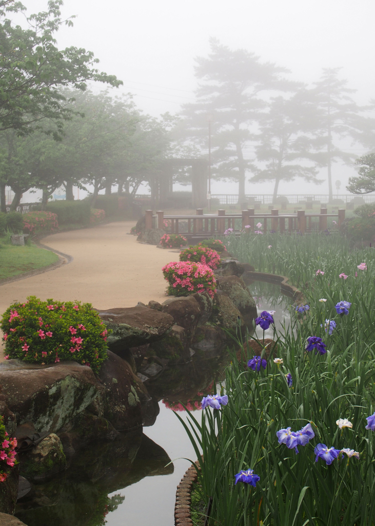 朝霧の風景