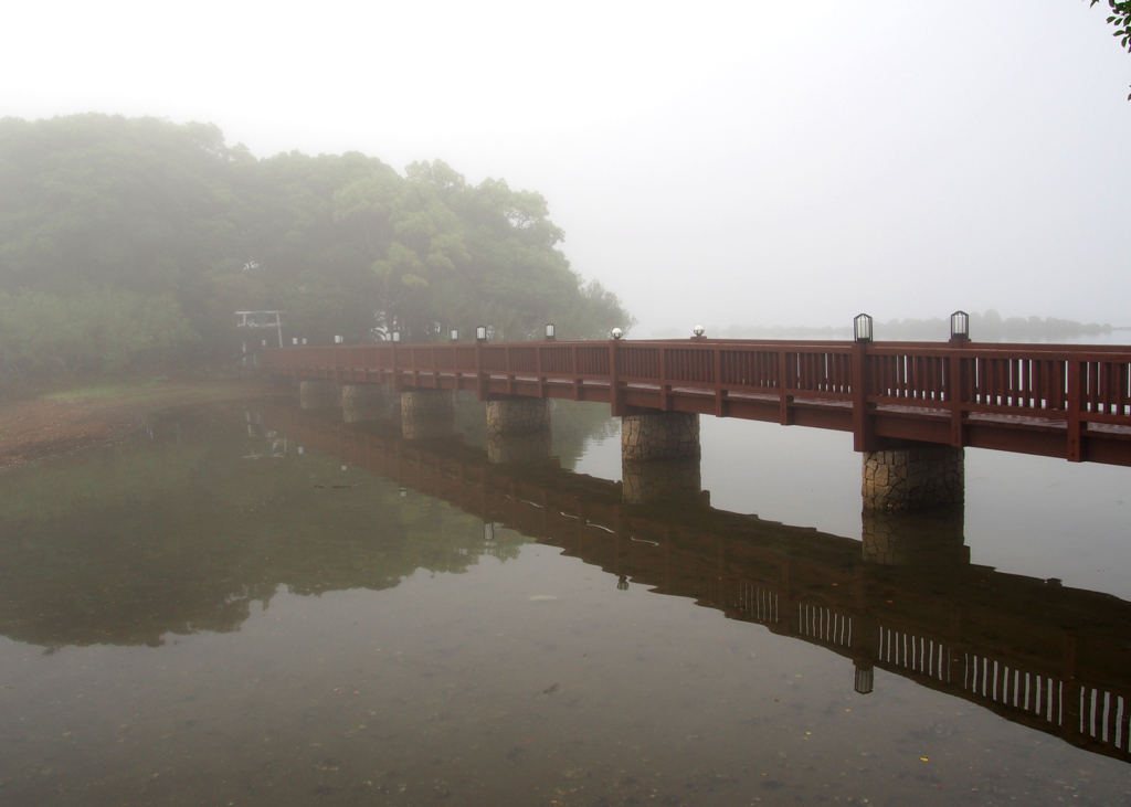朝霧の風景