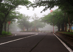 朝霧の風景