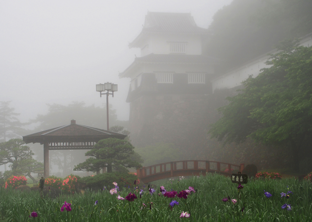 朝霧の風景