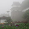 朝霧の風景