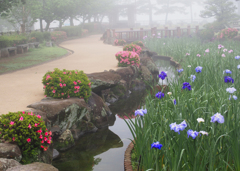朝霧の風景