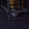 猫写日和97