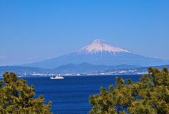 春霞の富士山