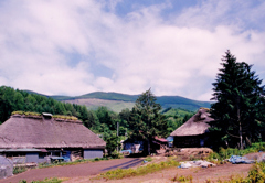 消えつつある里山