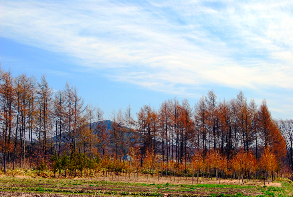 岩手県　田舎の春