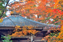 紅葉の中尊寺
