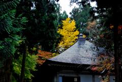 中尊寺