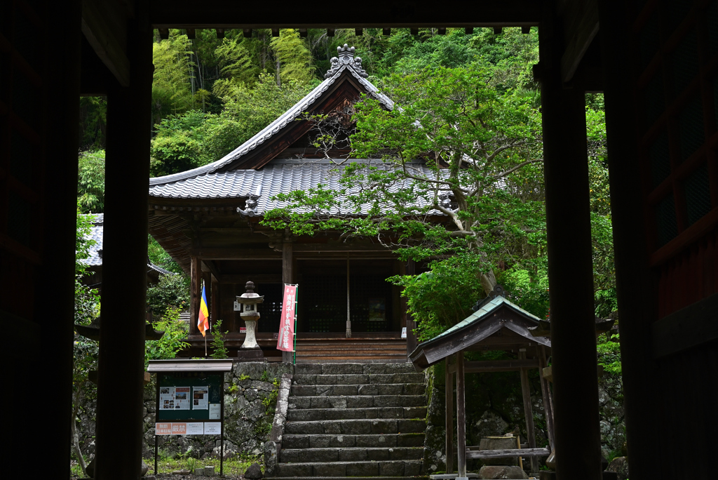 心の浄化