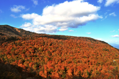 八幡平周辺の紅葉