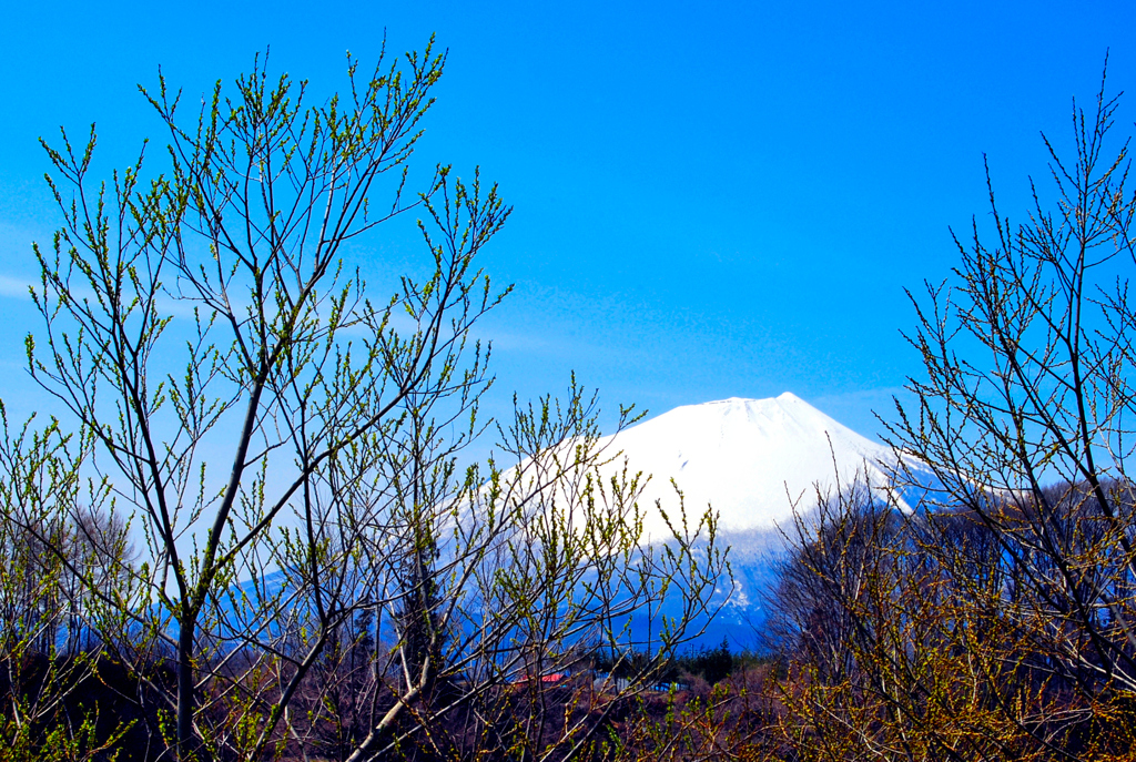 岩手山
