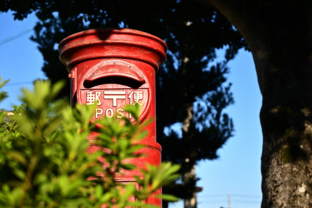Please Mister Postman 