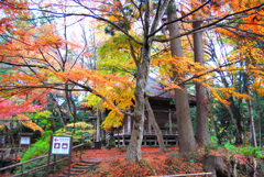 中尊寺